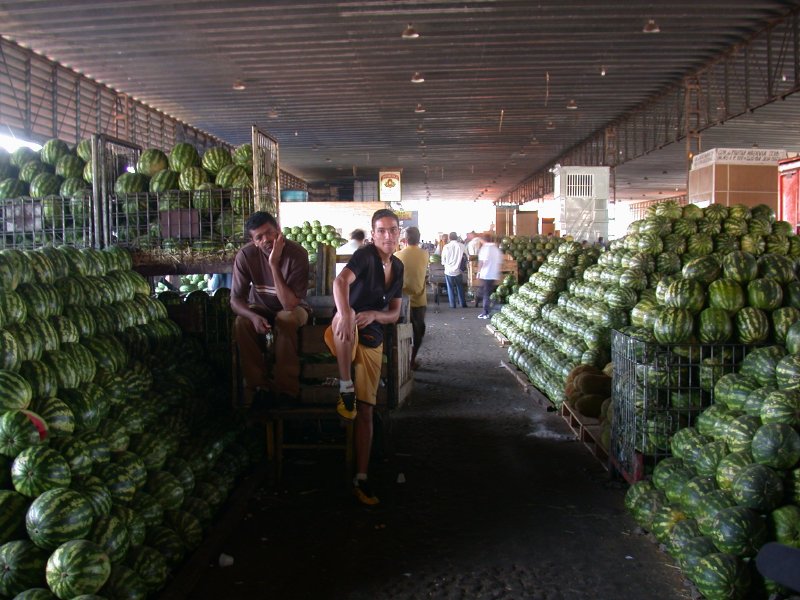 �������� �� ���� ������ ��������� �� ���-����������� ���������������� �� ��� ����� � ���������� � ������� ������� �� ����������, ������ ����� ������ ������������ ����. 